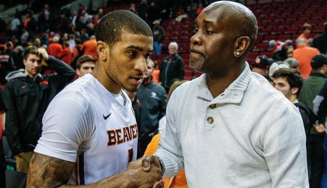 精细化运营 精细化运营